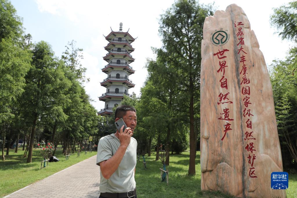 游戏厅的捕鱼机